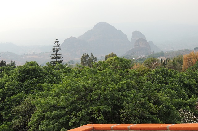 Jardín de FLores